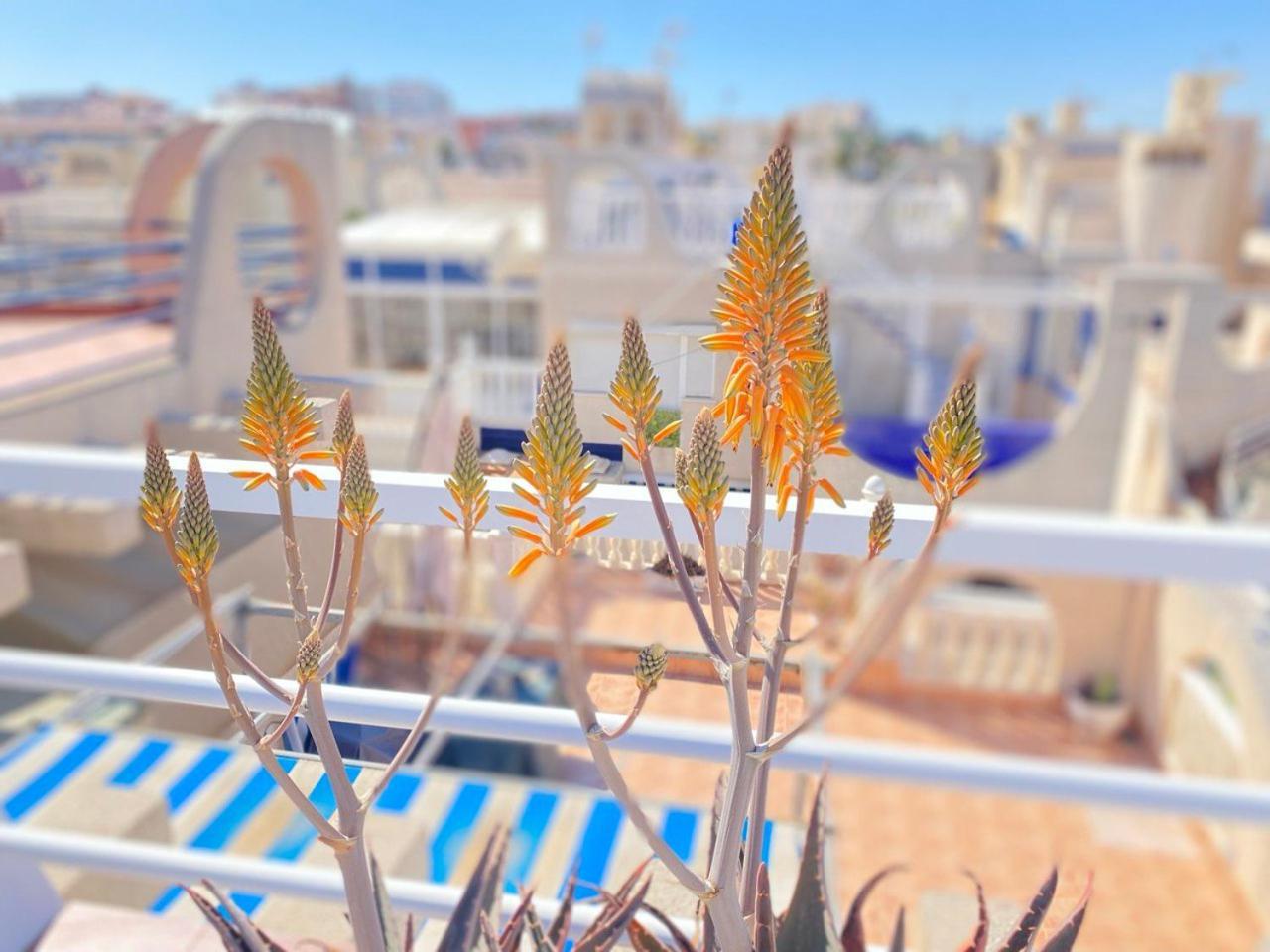 Sea View Apartments Dunas De La Mata Торевьиа Экстерьер фото